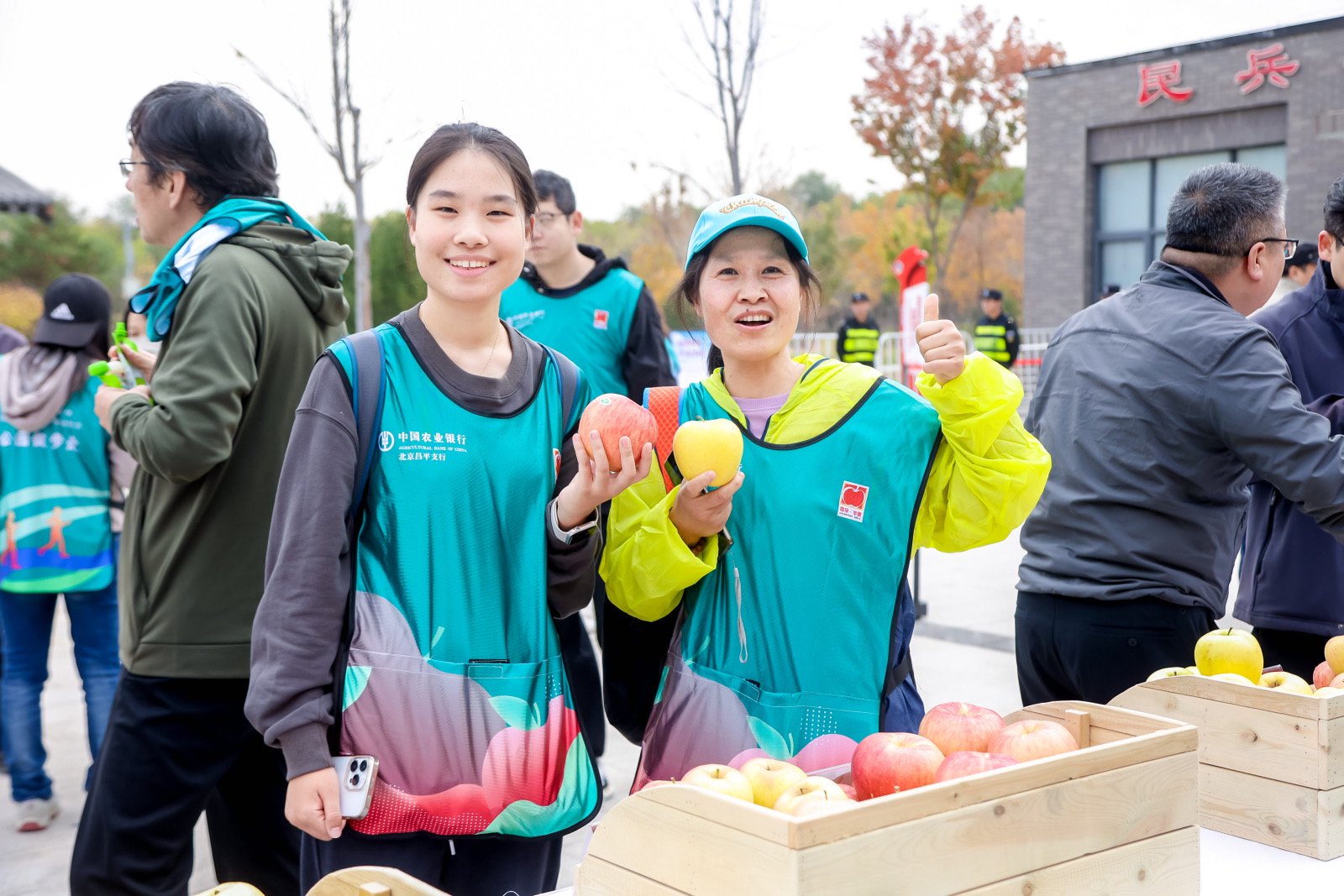 苹果文化故事分类